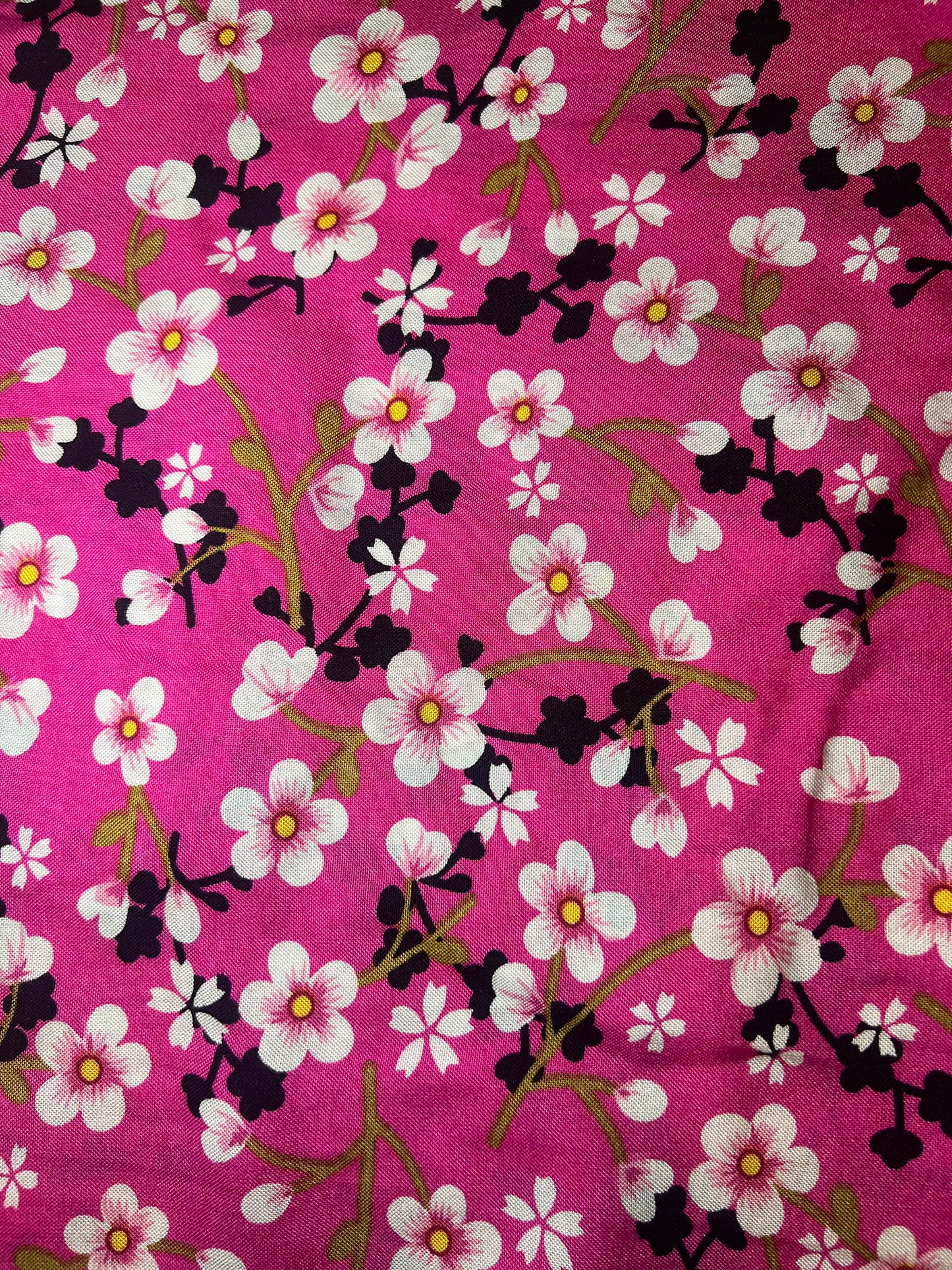 Spring Bloom