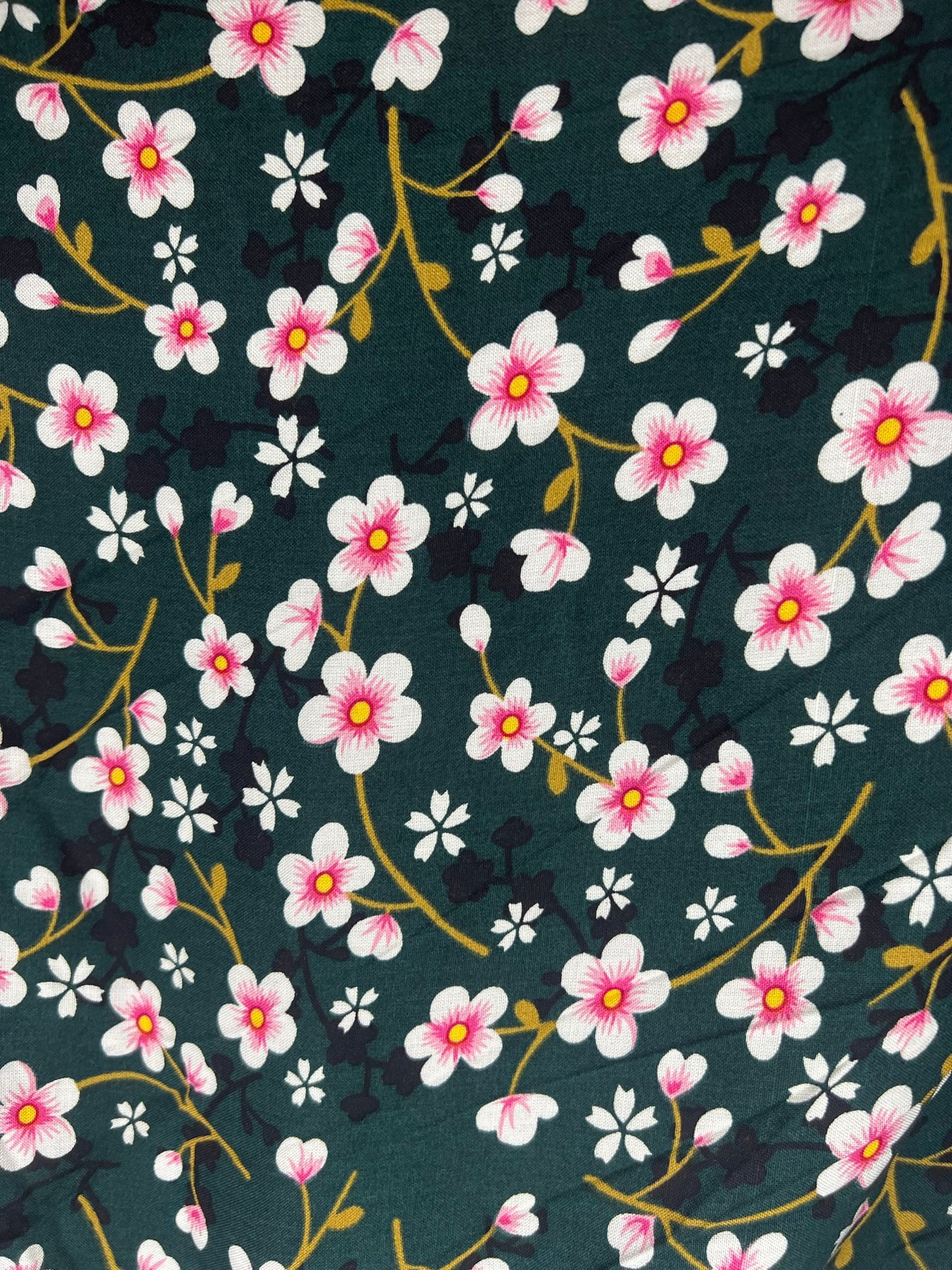 Spring Bloom