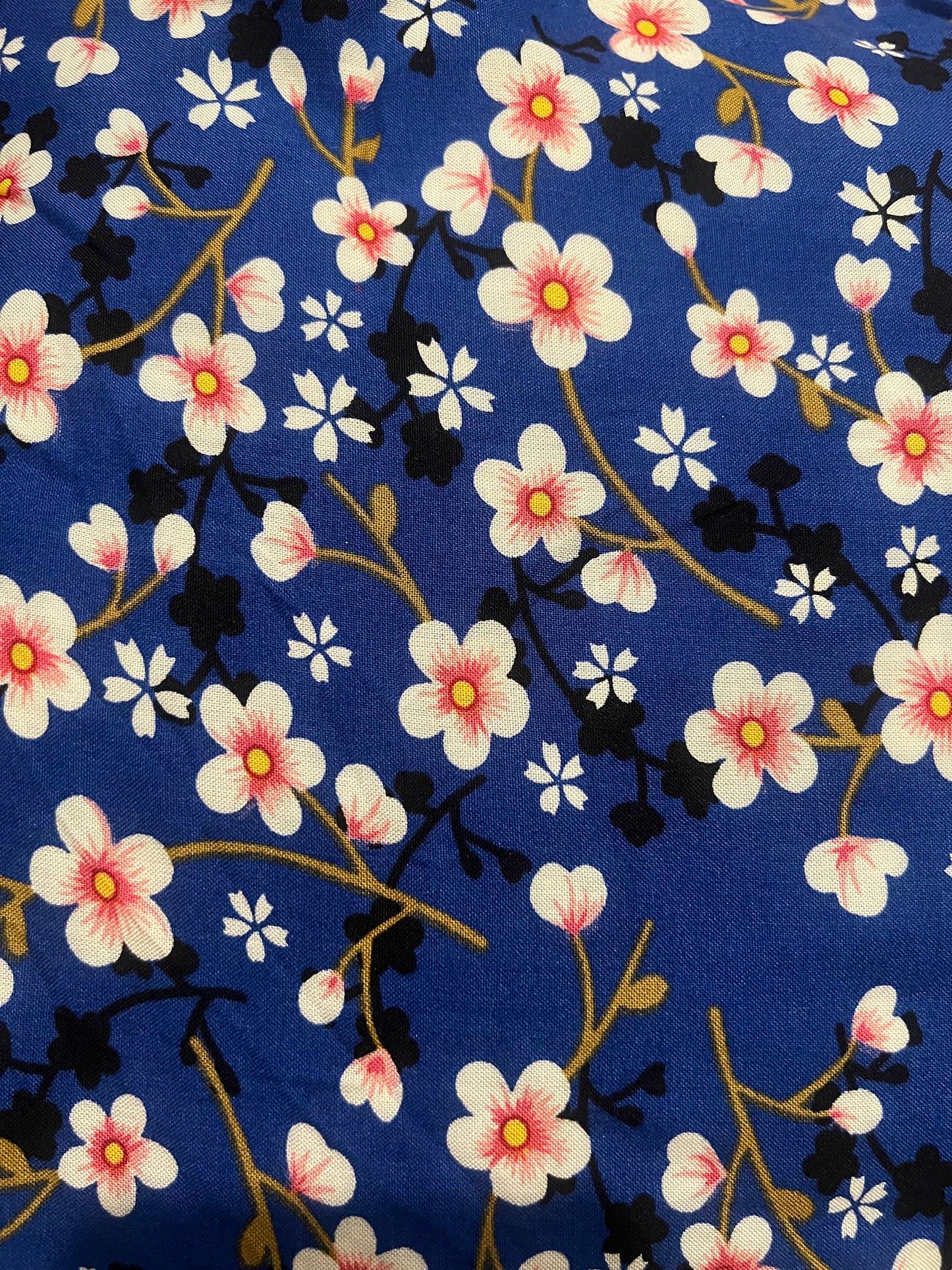 Spring Bloom